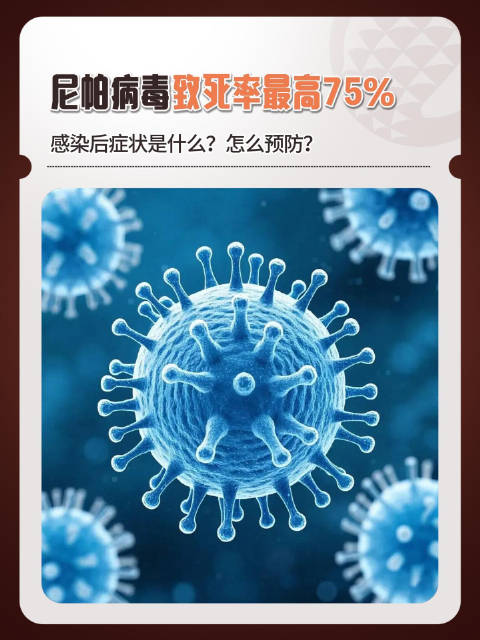全球疫情最新消息今天,全球疫情最新消息!-第3张图片
