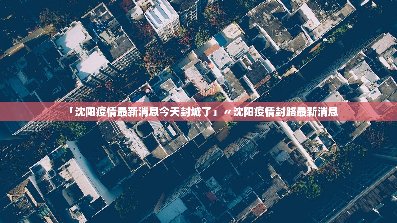 沈阳今天疫情最新情况,沈阳今天疫情新动态-第2张图片