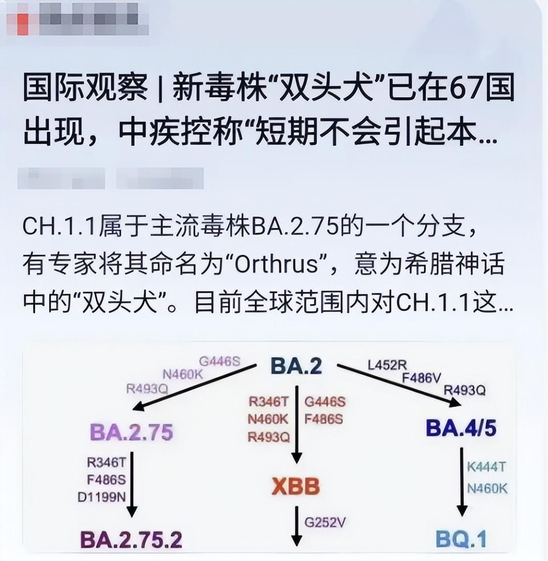 “最新专家预测2023年疫情” 专家预言疫情？-第3张图片