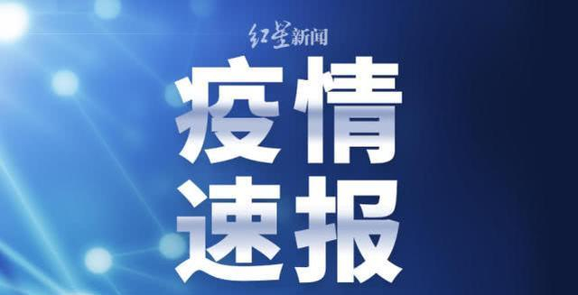 哈尔滨新增4例无症状感染者.哈尔滨新增4例无症状感染者是哪里的-第3张图片