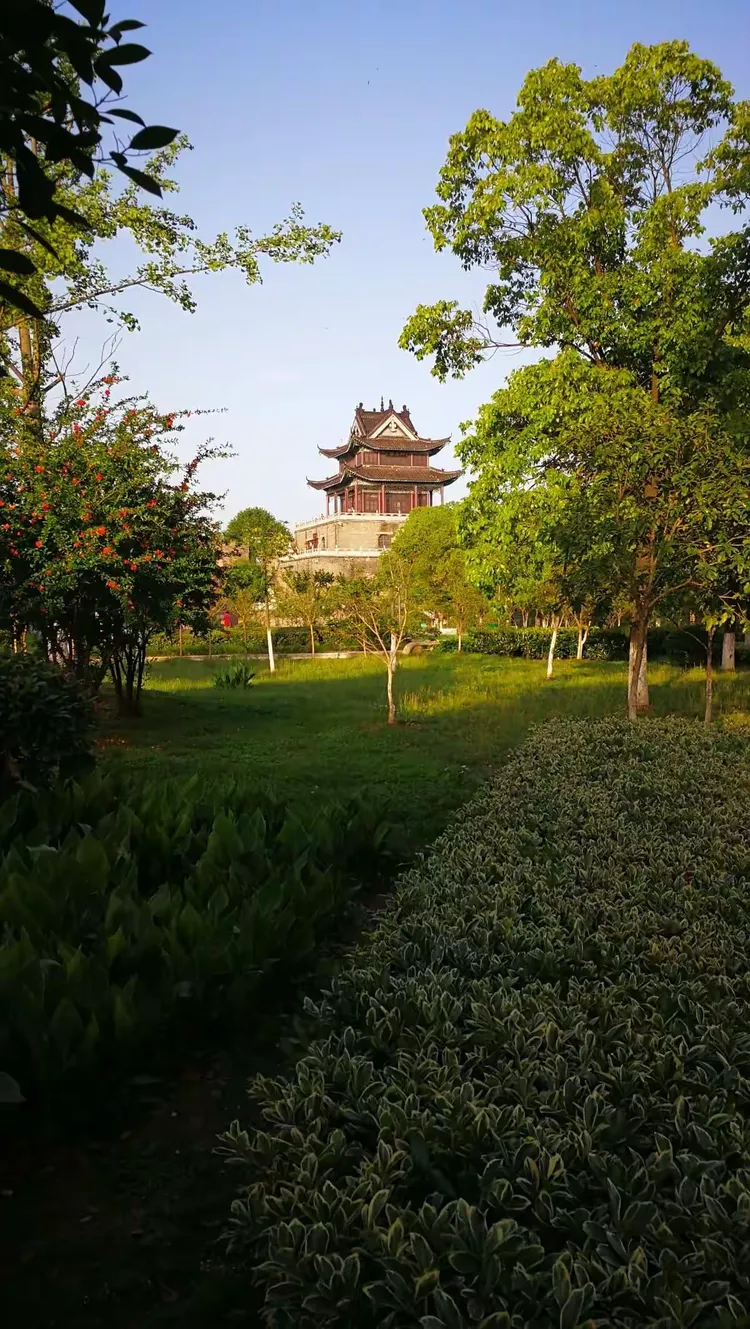玩家必读“楚天游开挂神器”开挂(透视)辅助-第1张图片