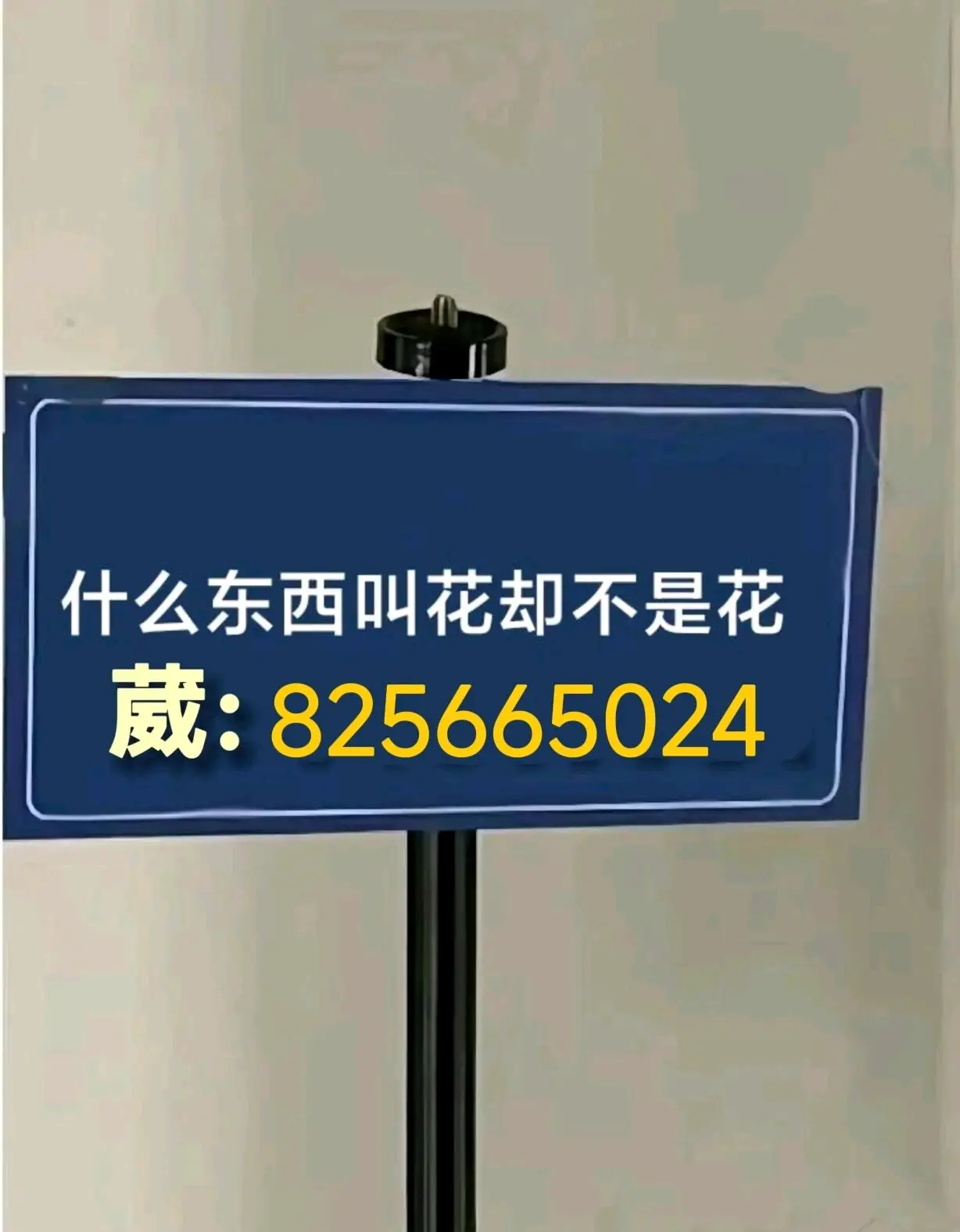 实测教程“皇豪互娱辅助器下载”详细分享装挂-第1张图片