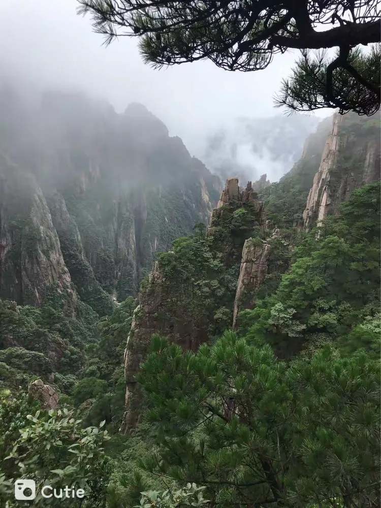 一键必胜“黄山麻将有挂吗	”开挂辅助脚本+详细开挂安装教程-第1张图片