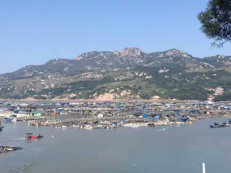 万能开挂辅助“一起宁德钓蟹有挂什么手机”太坑人了,真的有挂-第2张图片