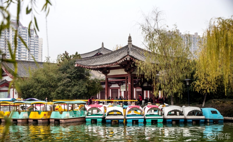 可用版本“闲来陕西麻将万能开挂神器”开挂辅助详细步骤-第2张图片