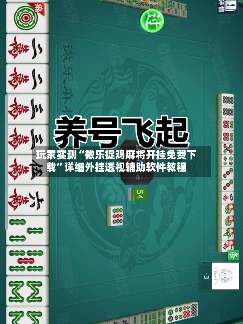 分享实测“陕西微乐老麻子万能开挂器	”原来有神器下载！-第2张图片