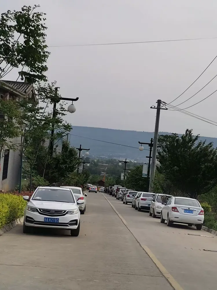 玩家实测“微信家乡大贰辅助软件(透视)”揭秘透视辅助万能挂用法-第3张图片