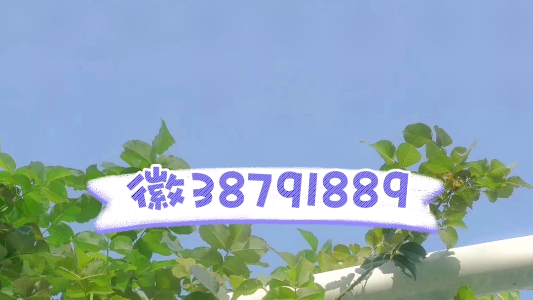 教程辅助!“wepoker透视脚本免费	”开挂(透视)辅助教程-第1张图片