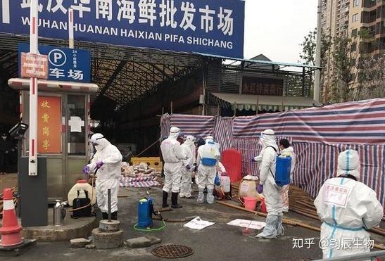 疫情源头一家4口感染-一家四口新冠-第3张图片