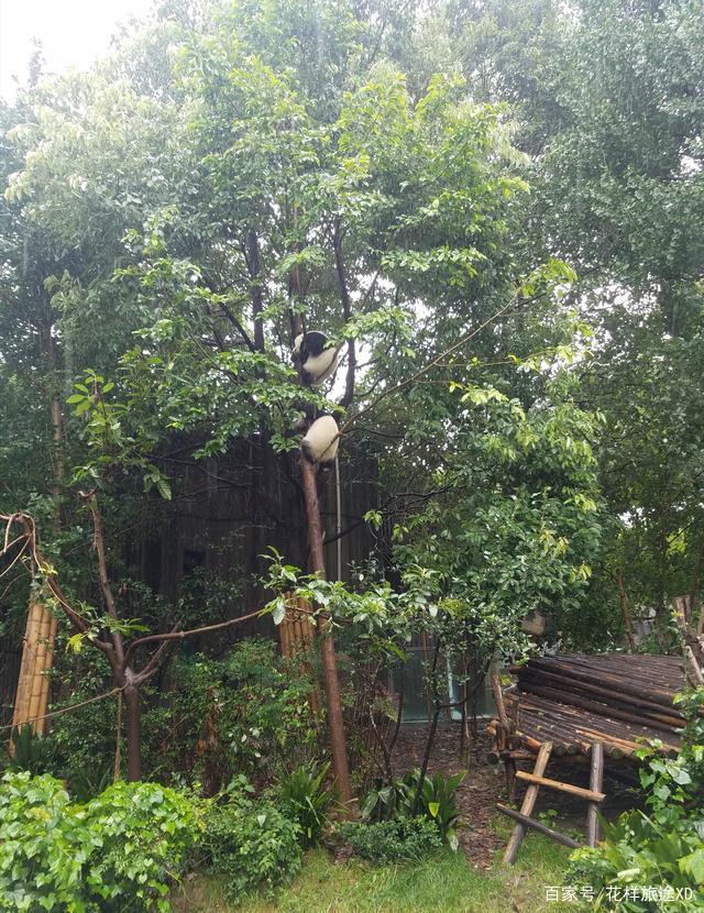 分享实测辅助“蜀山四川麻将外卦神器下载安装免费(透视)”详细开挂玩法-第3张图片