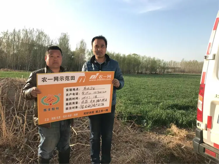 一键必胜“金花外卦神器下载”详细透视教程-第2张图片