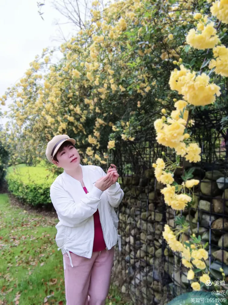 [教程经验]“金花挂先试用再付款	”(透视挂)详细用法教程-第1张图片