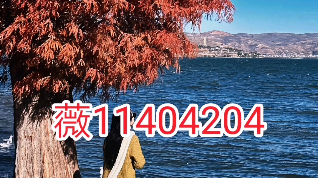 实测开挂辅助“雀神麻将小程序挂免费下载”详细开挂玩法-第1张图片