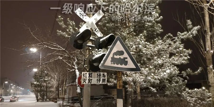 一键必胜“哈局十三张开挂神器下载	”科技辅助神器手机版教程-第1张图片