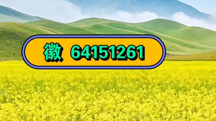 玩家攻略“wepoker辅助下载教程”开挂通用版（必备神器）-第2张图片
