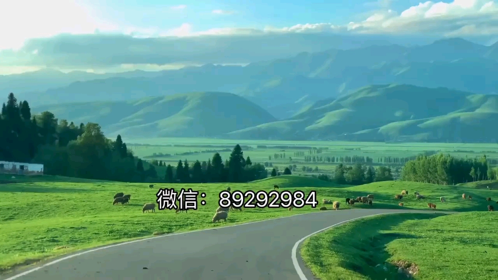 玩家必搜“微乐陕西挖坑免费开挂神器	”详细开挂玩法-第1张图片