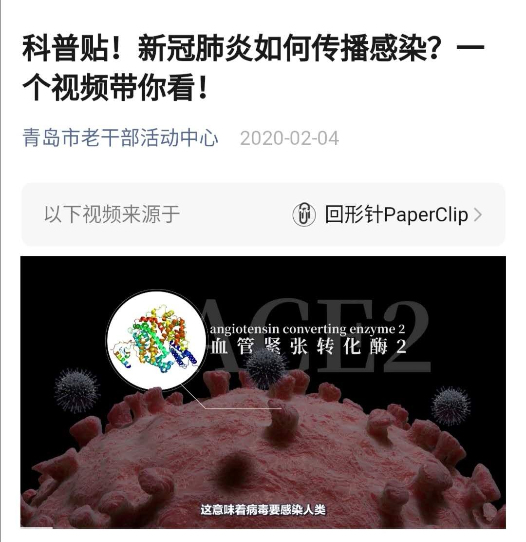 青岛市疫情,青岛市疫情防控费-第2张图片