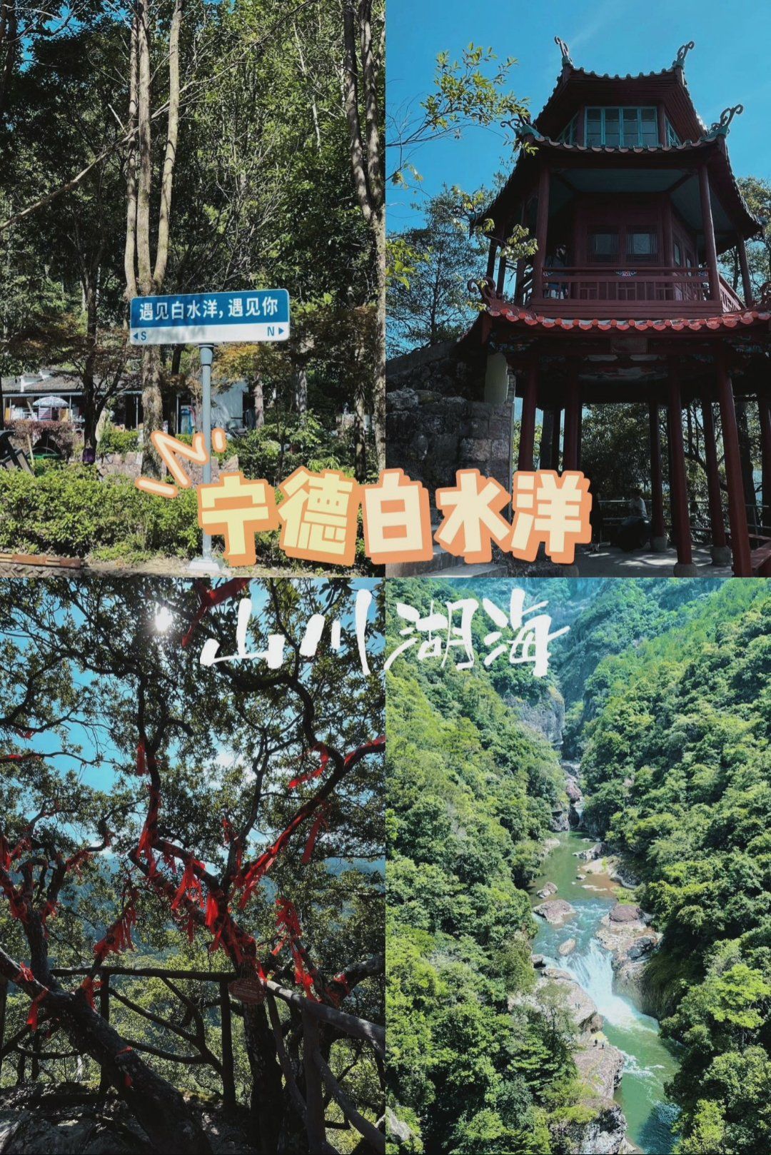 3分钟学会“一起宁德钓蟹辅助器下载	”(透视挂)辅助神器教程-第1张图片