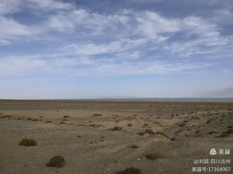 实测辅助“途游四川麻将外卦神器下载安装”科技辅助神器手机版教程-第2张图片