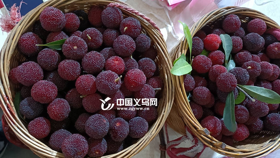 分享实测“越乡游义乌辅助器下载”详细分享装挂步骤-第1张图片