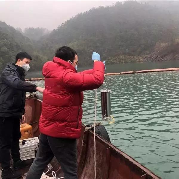 “重庆肺炎” 重庆肺炎环境监测有限公司的违法记录？-第2张图片