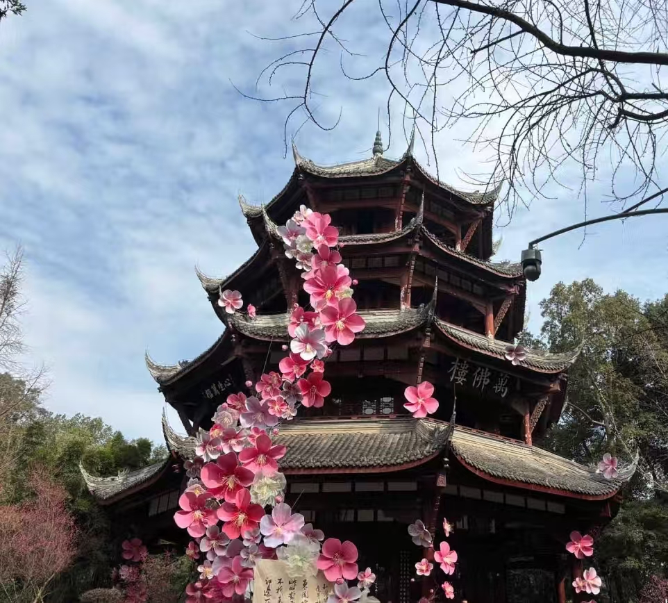成都郫都区新冠.四川成都郫都区新冠-第2张图片