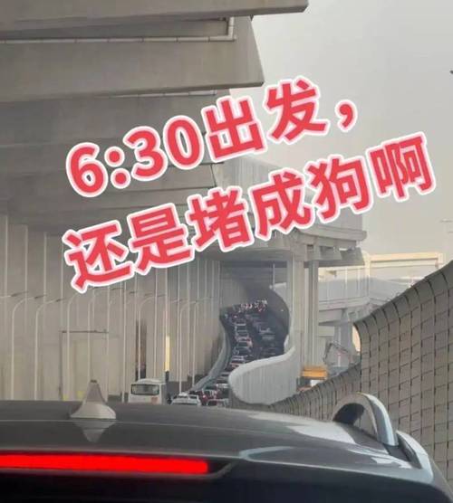 3分钟学会“跑得快透视软件!辅助神器插件下载-第2张图片