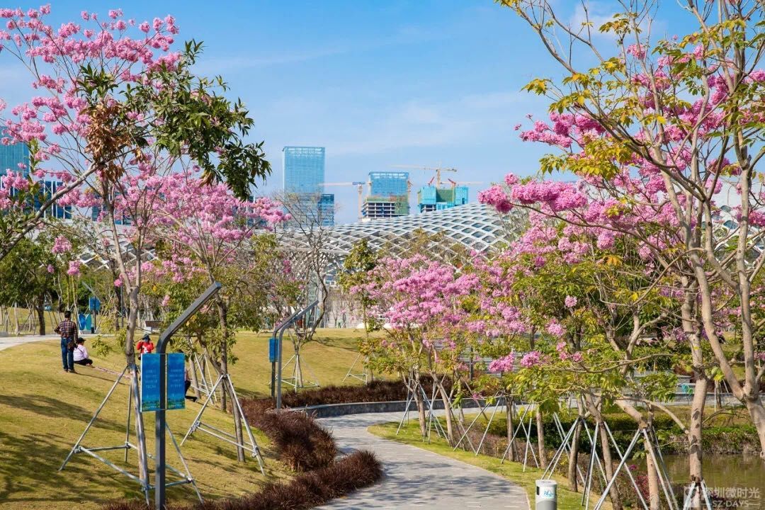 长沙中风险地区,长沙中风险地区有哪几个-第2张图片