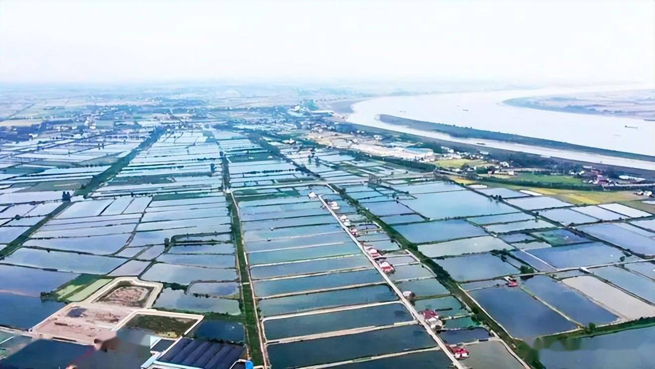 分享实测辅助“水鱼天下金州水鱼辅助	”科技辅助神器手机版教程-第1张图片