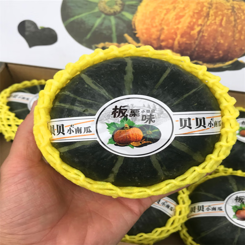 辅助分享“兴动互娱挂试用一天”科技辅助神器手机版-第2张图片