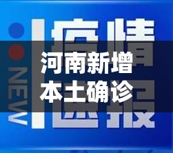 31省新增本土确诊30例.31省新增本土确诊126例-第1张图片