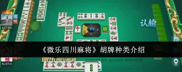 玩家必备“微乐安徽麻将开挂游戏软件	”必赢神器通用版-第2张图片
