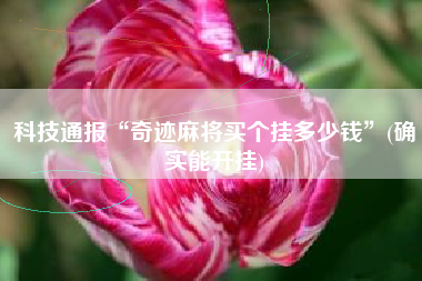 教程分享“哈灵麻将必赢神器软件”附开挂脚本详细步骤-第2张图片