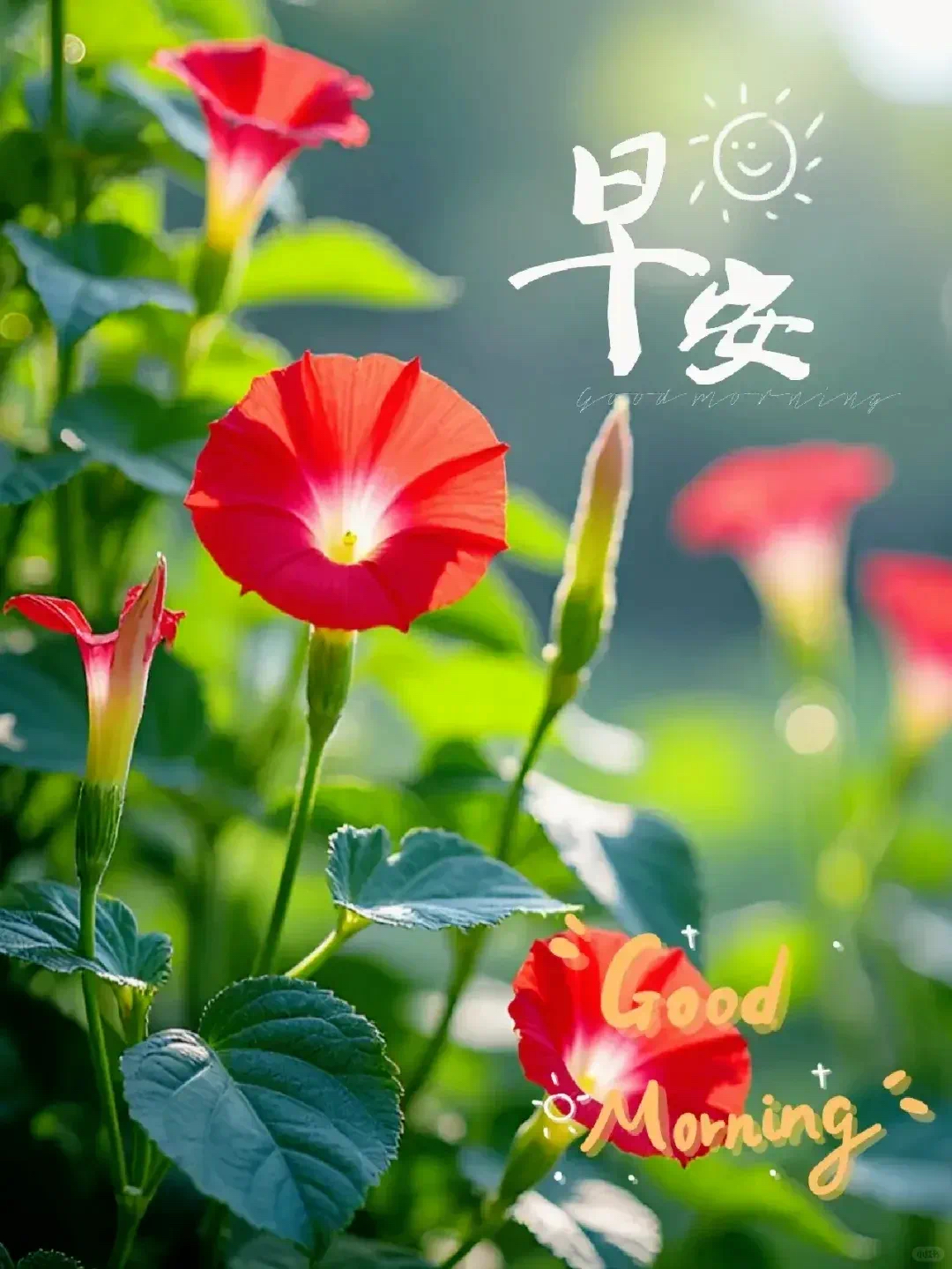今日必看教程“微乐三代必赢辅助器免费安装	”详细分享装挂-第2张图片
