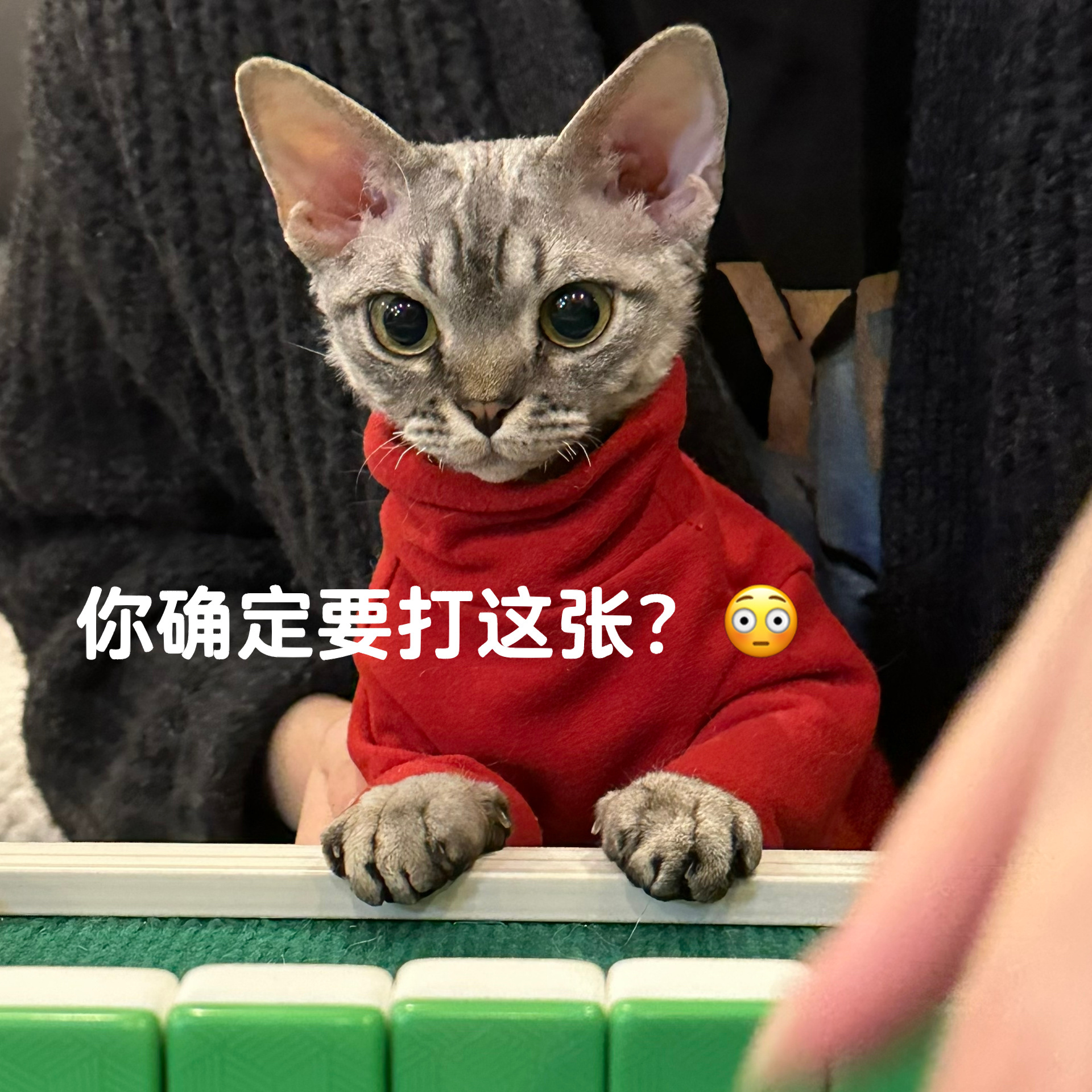 推荐必备“手机上打麻将外卦神器下载安装	”助赢开挂器（安装教程）-第2张图片