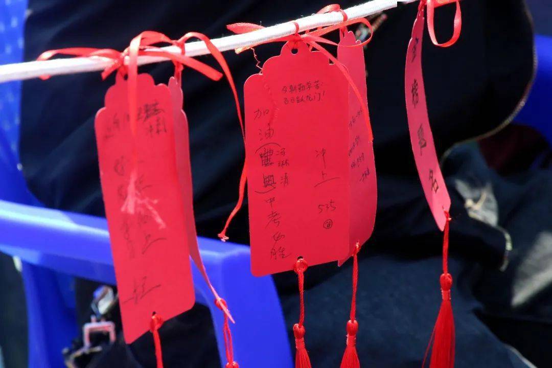 一键必胜“决战卡五星开挂神器下载最新版	”详细透视辅助教程-第1张图片